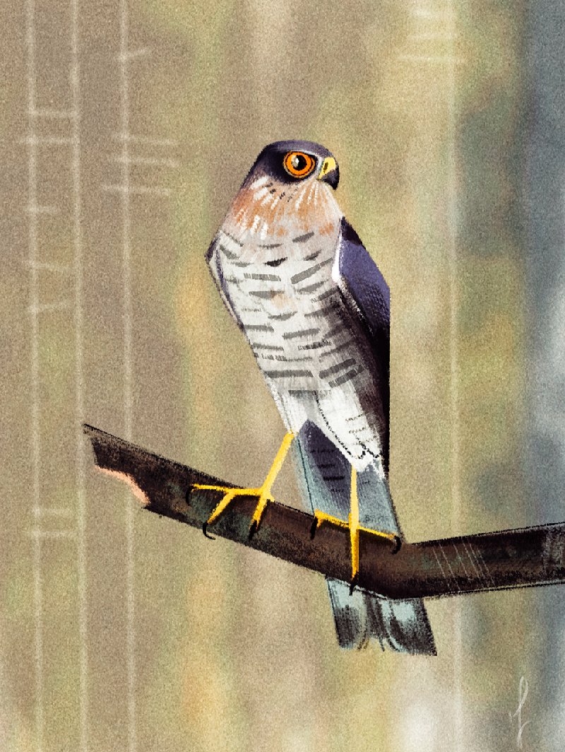 Skia𓅃 (@alopex) on Twitter photo 