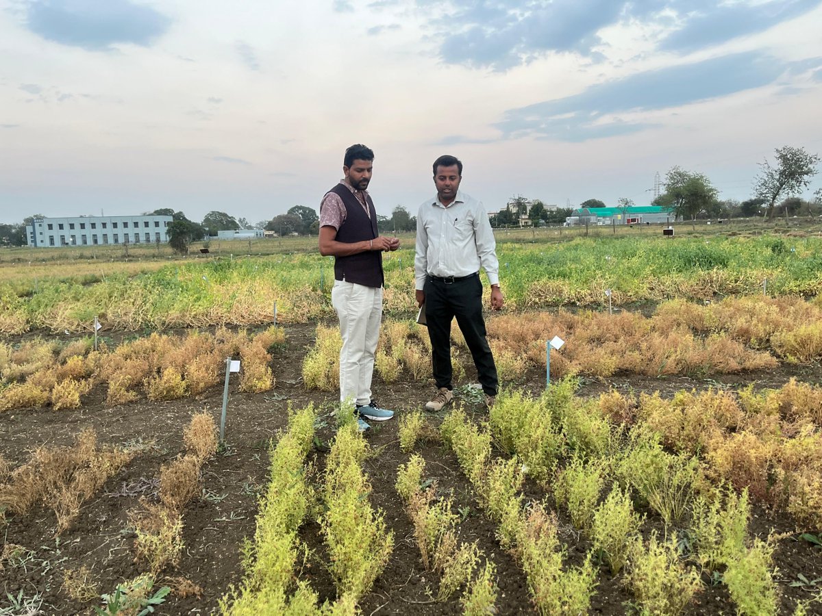 Ashutosh Kumar Yadav tweet media