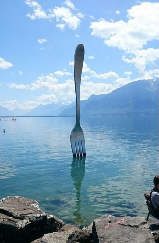 Llorchs  tweet media