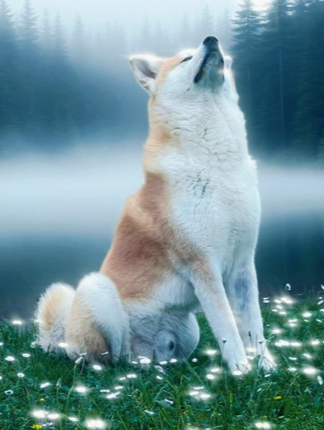 La primavera è nell'aria e il mio Yoshi l'ha già sentita!