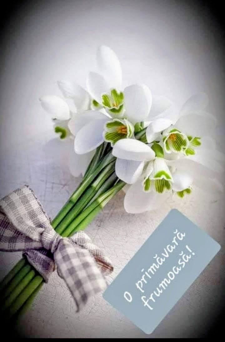 Eugen Orlando TEODOROVICI tweet media