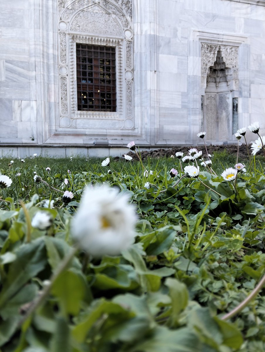 Bütün çiçekleri koparabilrsiniz ancak baharın gelişini engelleyemezsiniz. Güüünaydın baharı getirecek olanlara.