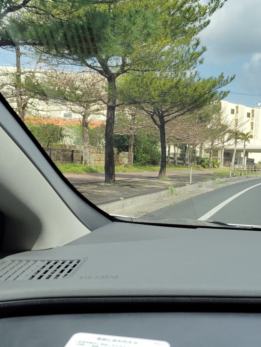 七月なつき tweet media