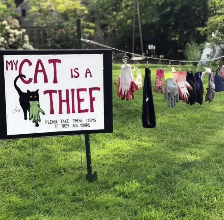 Antidepressant Content tweet media