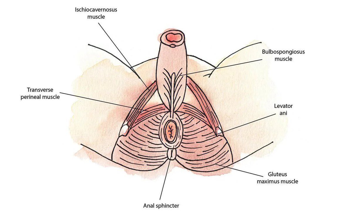 How to Recover from EJACULATION Fast (And Go for Round 2 Like a Beast)

If you’re tapping out too soon, you’re MISSING out on the best part. 

Learn how to bounce back fast and keep the PLEASURE going.

Thread -