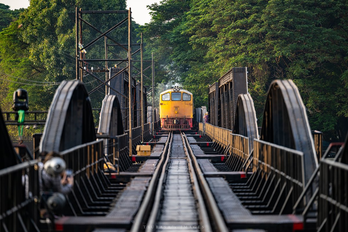 F. P. Cheng tweet media