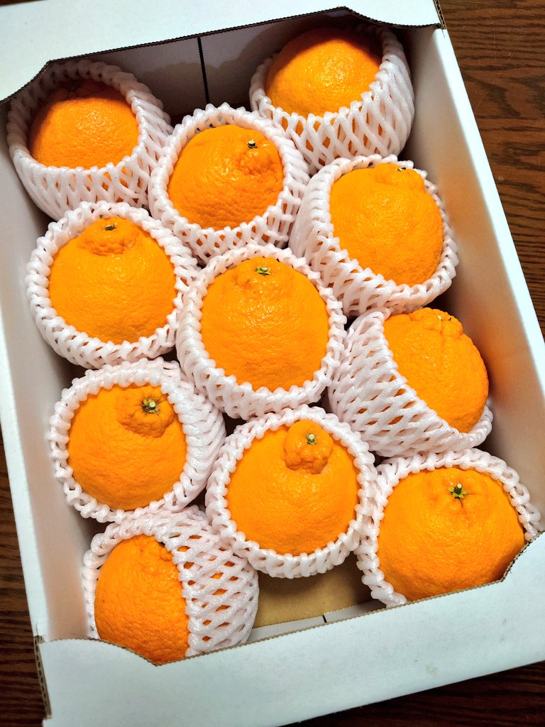 先日、友人のてっちり氏から有田のしらぬいいただいたので、ミニミニキャブYZFの会の手土産小松菜買いにいくついでにお返し分も購入して送った。生産者のひらのさんに
「しらぬいのお返しが小松菜ってすごいエビタイなんじゃないの!?」
って言われたけど前送った時