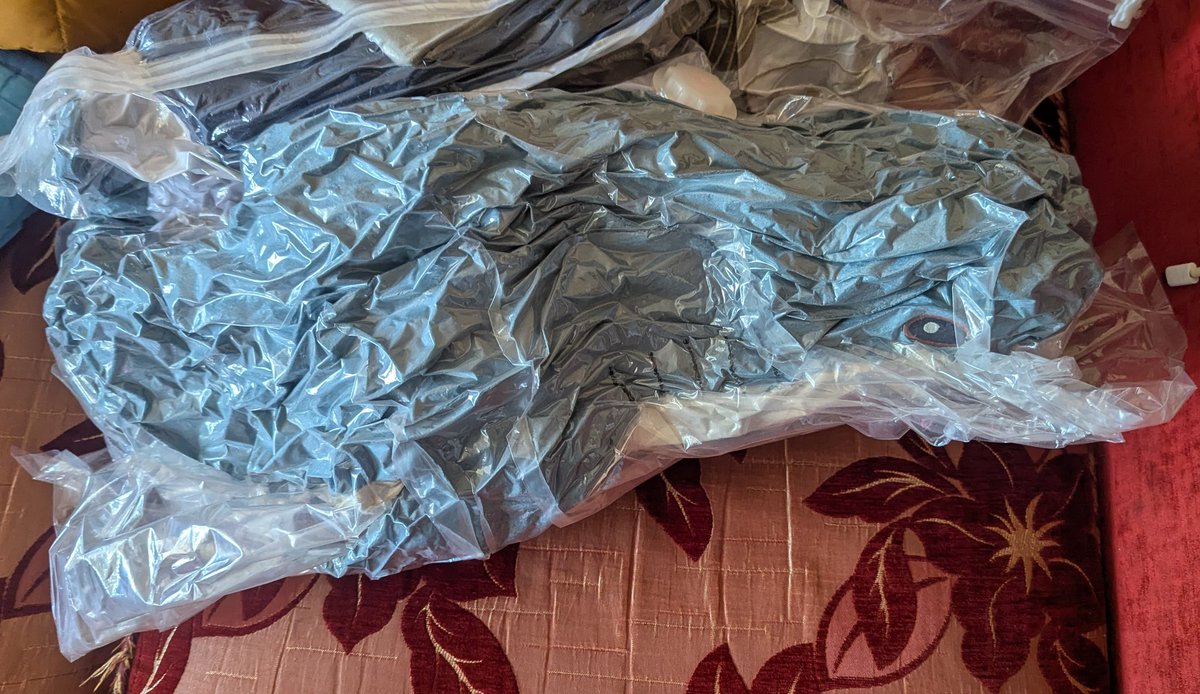 AriLegendary 🏳️⚧️🇺🇦 tweet media