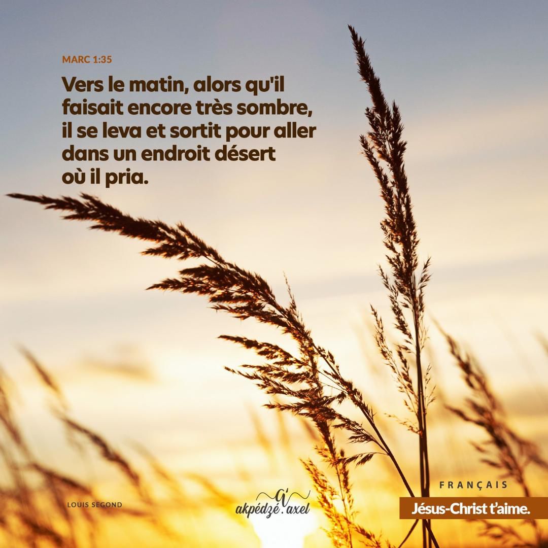 CHAP_ESTAOFATAD's tweet photo. " Vers le matin, pendant qu'il faisait encore très sombre, il se leva, et sortit pour aller dans un lieu désert, où il pria."

Marc 1:35

#ParoledeDieu #wordofGod #cif2026 #Maisondepriere #evangelisation #fatad #estao #WordOfGodChallenge #christian https://t.co/X3tKunztIN