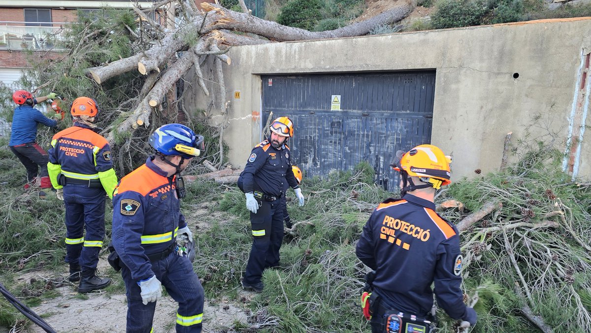 Coordinadora AVPC-Catalunya tweet media