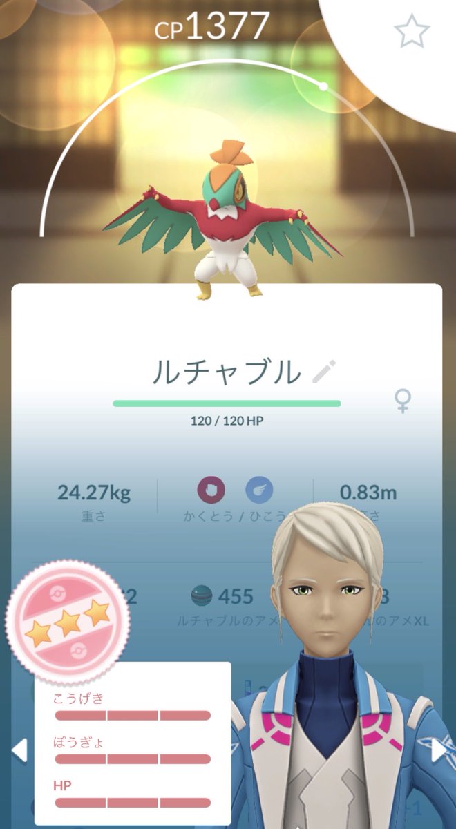 sakananuko's tweet photo. ルチャ！！！ https://t.co/JJbXqfszxD