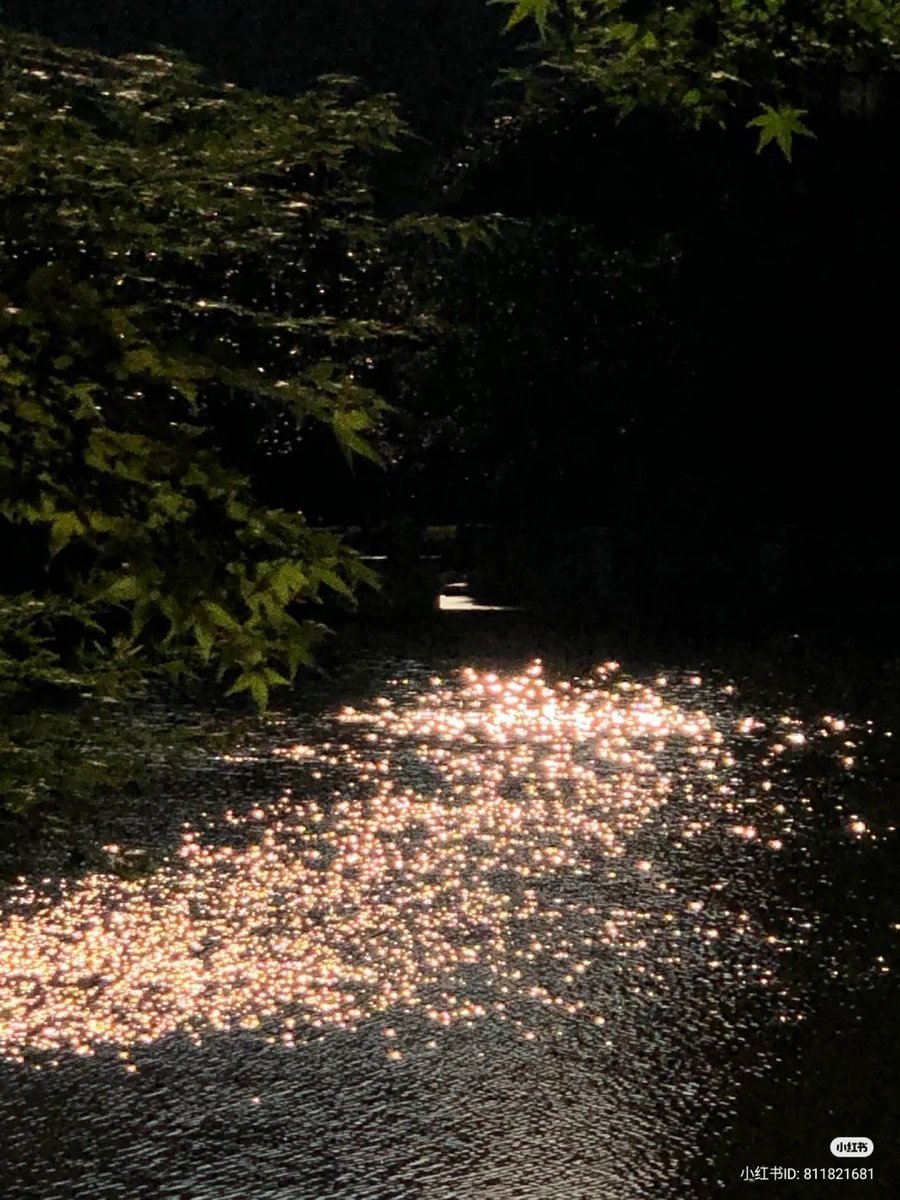 NaturalWorld515's tweet photo. The water’s glowing reflection https://t.co/ZZzGPW3EkM