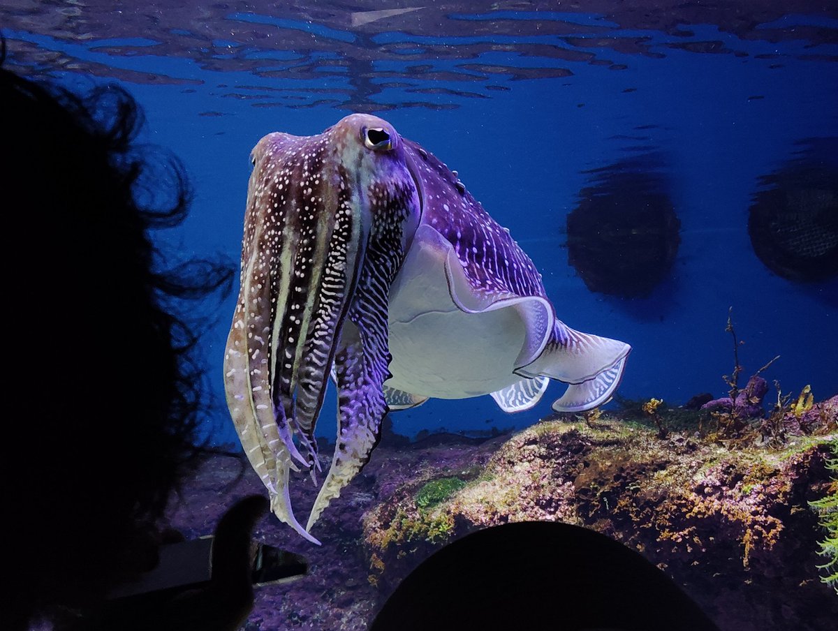 七月なつき tweet media