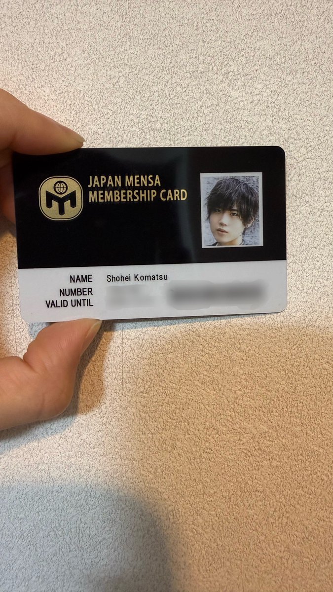 評価が下がりそうだからメンサの会員証でバランスを取っておこう。更新