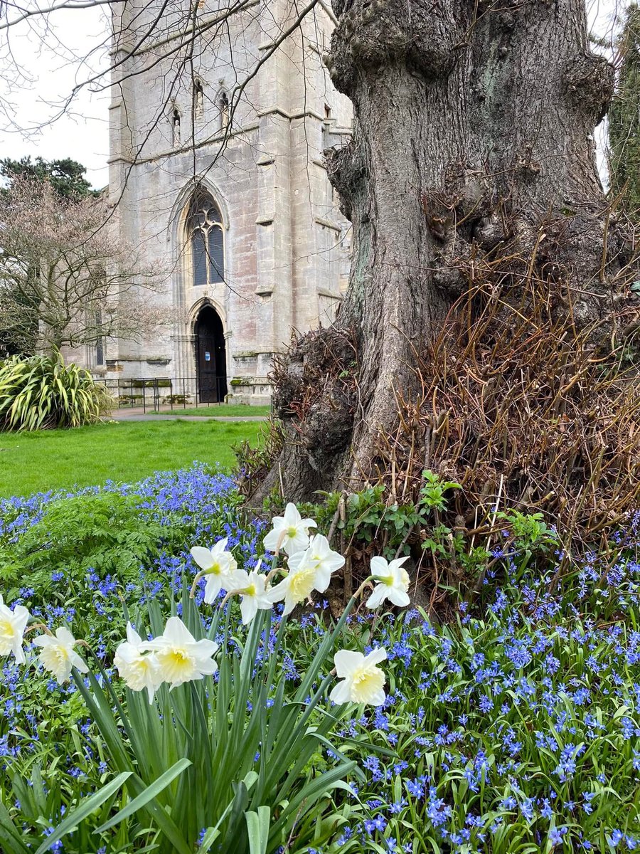 Zara Handley tweet media