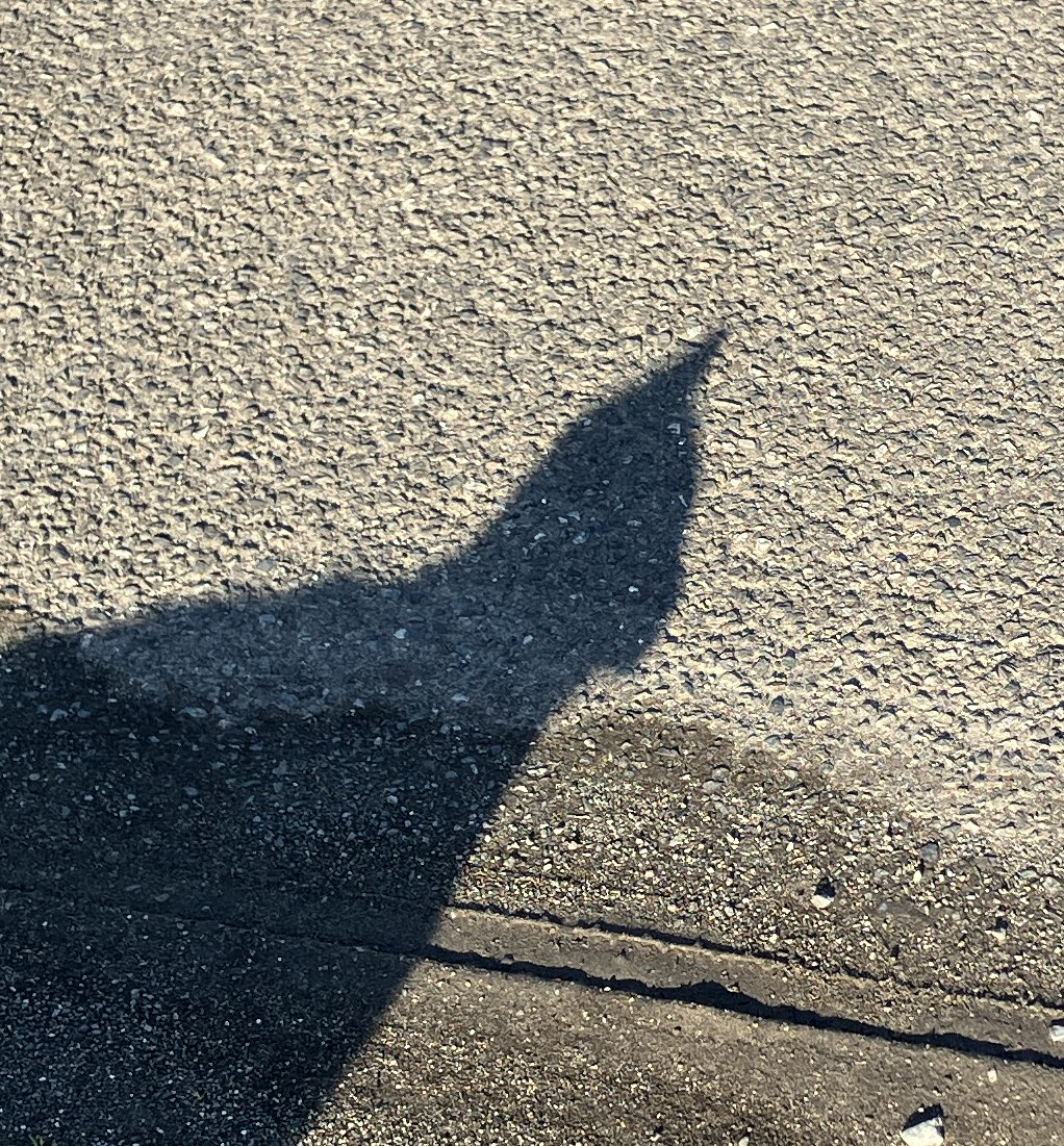 チヤキ /CHAKI tweet media