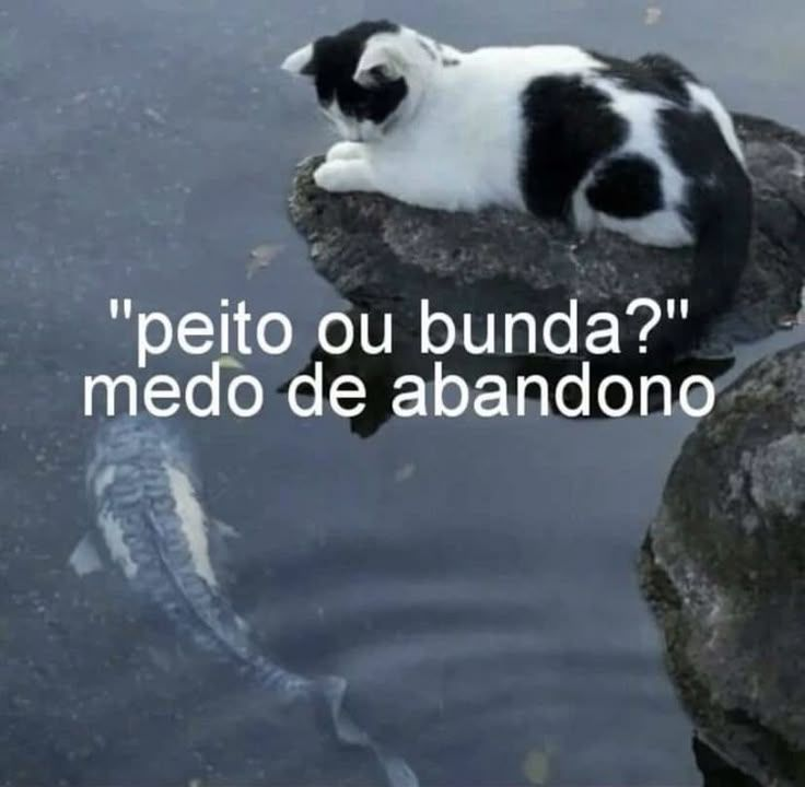 odeiootaco's tweet photo. https://t.co/HG7M4Vt4p7