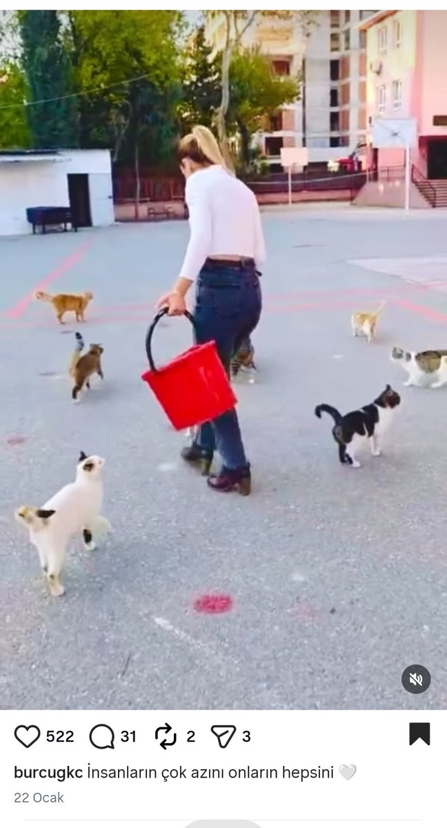 Okulu ahıra çevirmiş bu deli. Bir de iyi bir şeymiş gibi reklam yapıyorlar. Ne işi var lan bu kadar kedinin okulda? Ahır mı lan orası? Siz ne işe yararsınız lan <a href="/izmir_ilmem/">İzmir İl Milli Eğitim Müdürlüğü</a>
