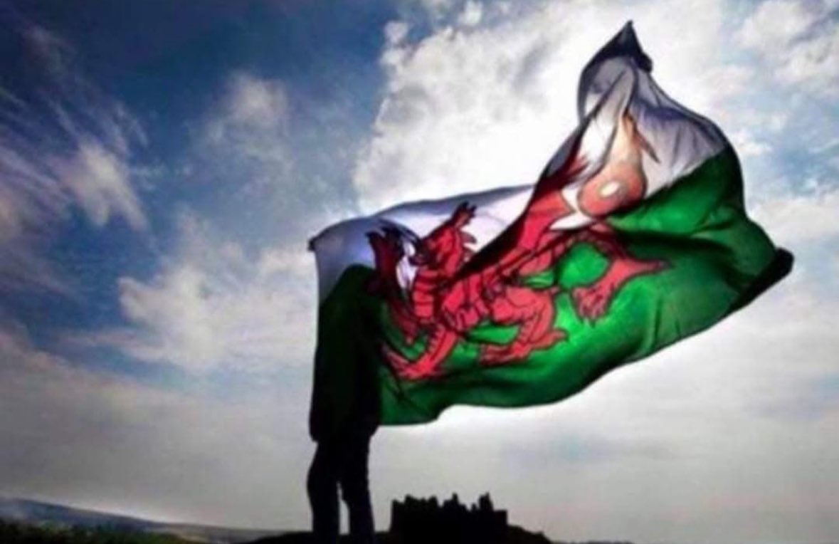 Dan Cope tweet media