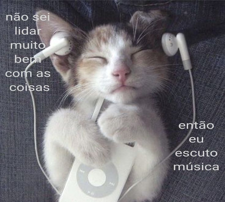 odeiootaco's tweet photo. https://t.co/FMC99iyD0S