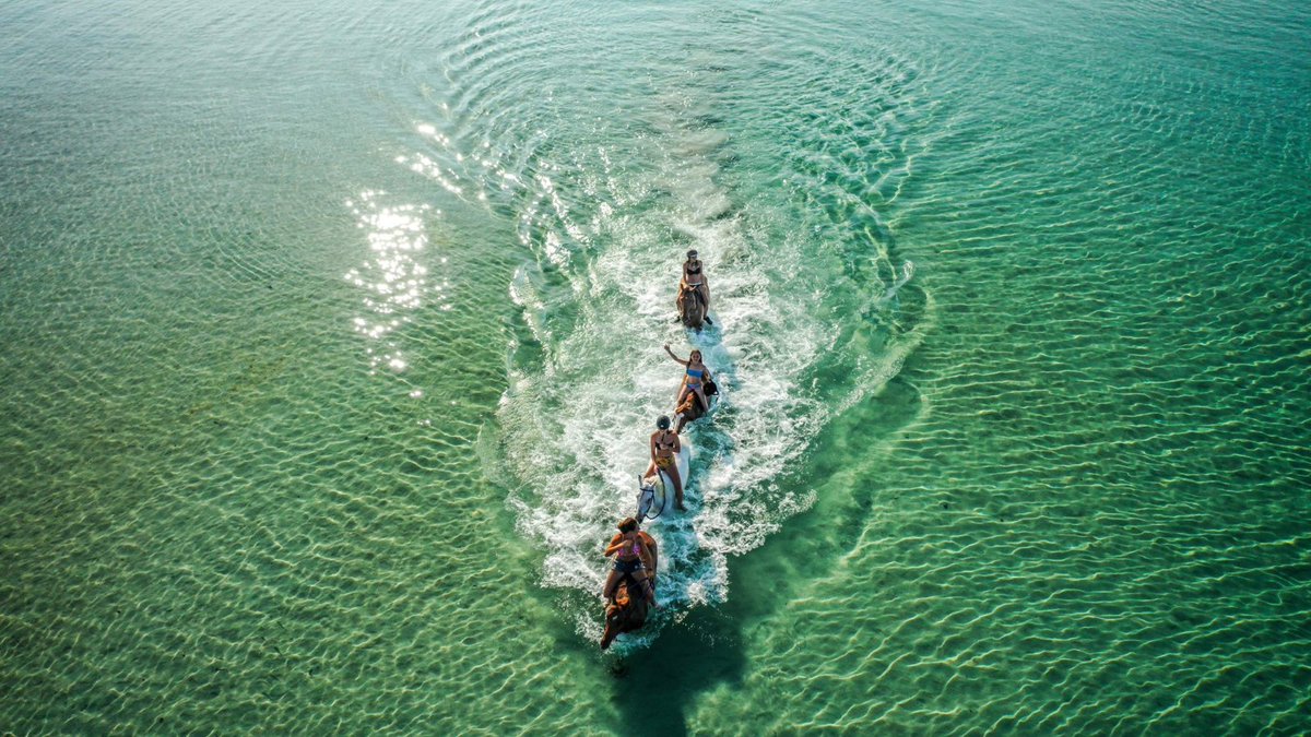 AjaccioTourisme's tweet photo. 🌊 #PhotoDuDimanche
Et si votre été commençait ici ?
Eaux cristallines, liberté, sensations…
Cet été, ne partez pas loin.
Partez fort.
📍 #PaysDAjaccio
#Corse #Ajaccio #Ete2026 #Destination #SlowTourisme https://t.co/x4f18EPBqa
