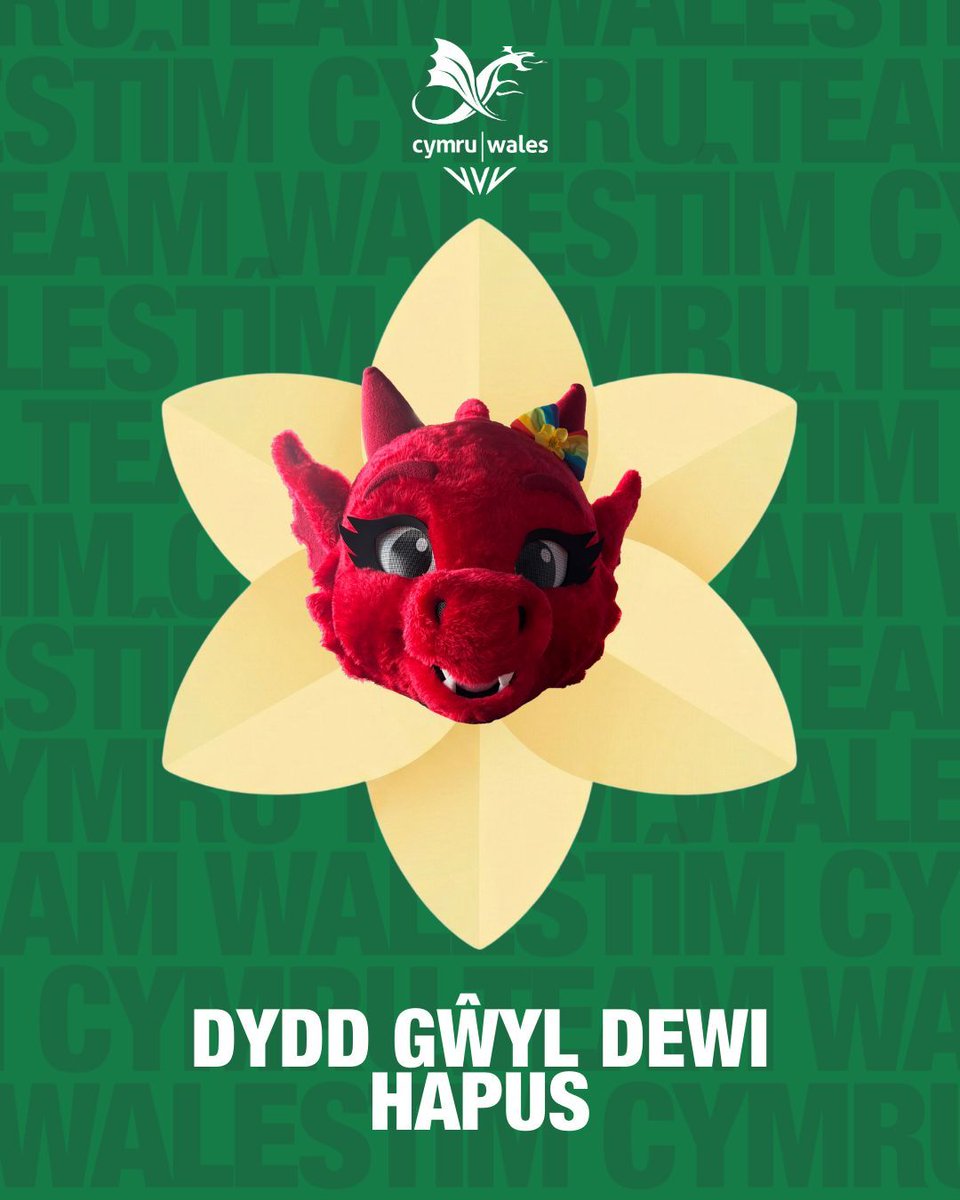 Tîm Cymru 🏴󠁧󠁢󠁷󠁬󠁳󠁿 Team Wales tweet media