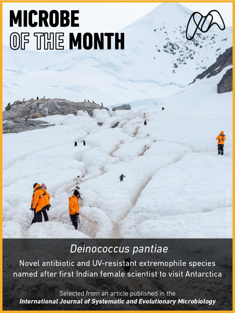 MicrobioSoc's tweet photo. Pinch, punch, it's Microbe of the Month 🦠 Introducing Deinococcus pantiae! The researchers honoured oceanographer Dr Aditi Pant by naming the new species after her. Find out more in the latest edition of New to Science here: https://t.co/2ie7J9gIdZ 🧫 https://t.co/uuXzVZ3jxm