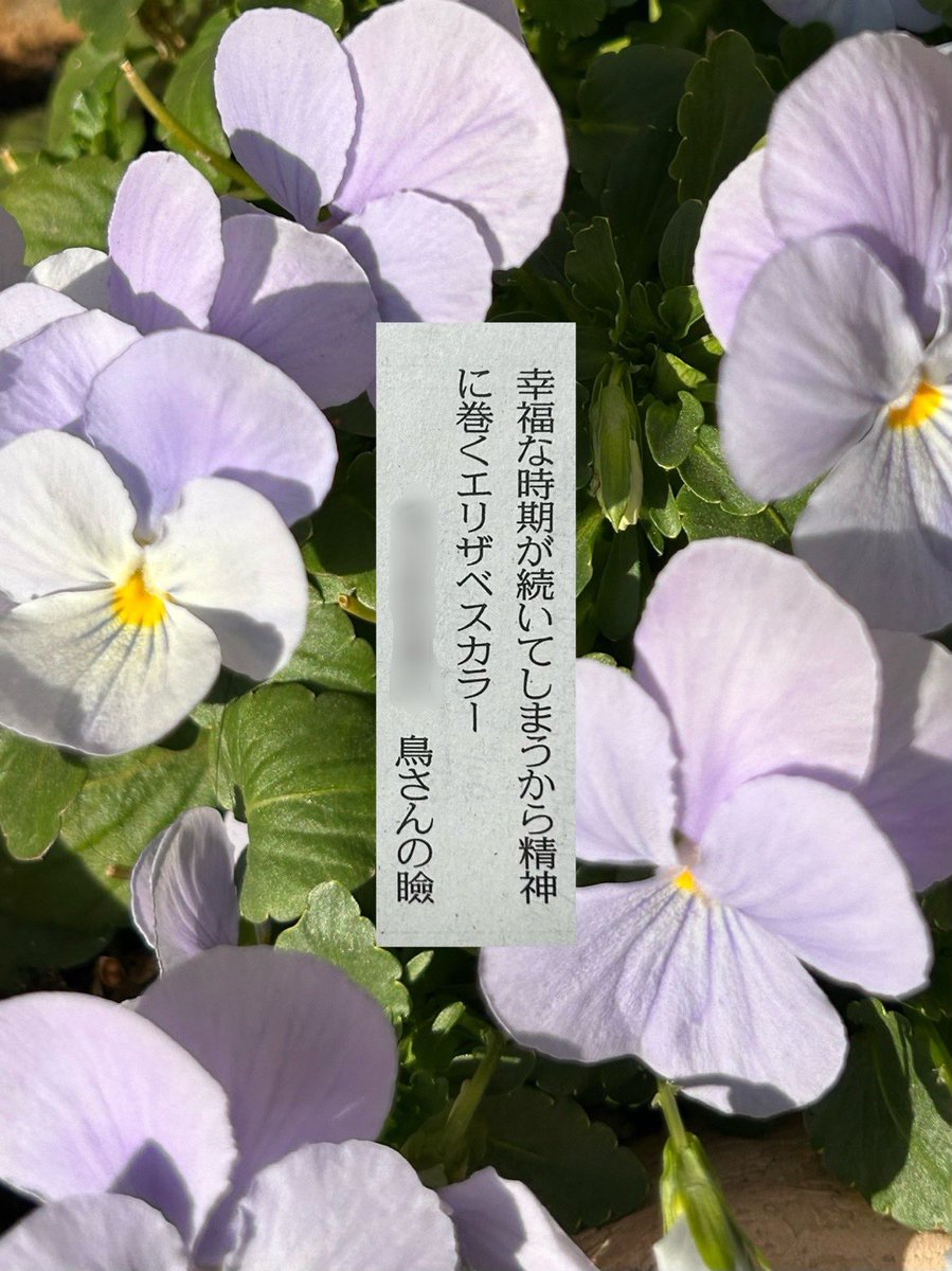 鳥さんの瞼 ◆ 歌集『死のやわらかい』 tweet media