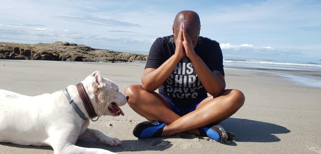 WorkingDogsForVets tweet media