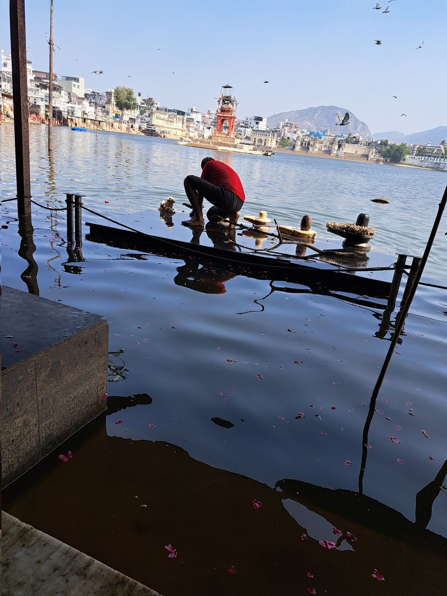 Siddhartha Rastogi tweet media