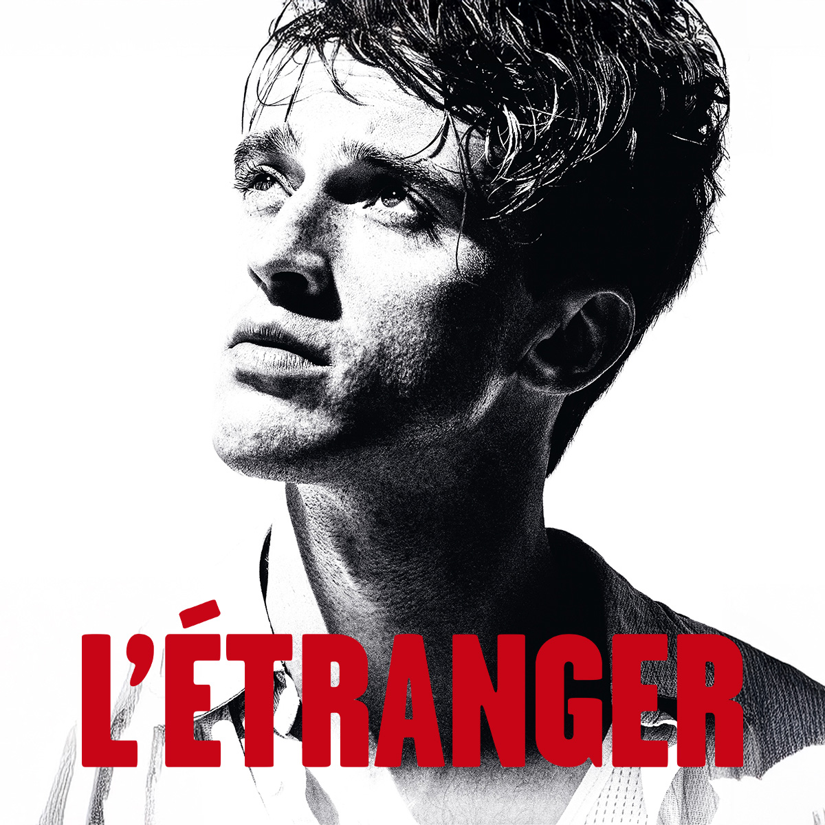 VIVA by Videofutur tweet media