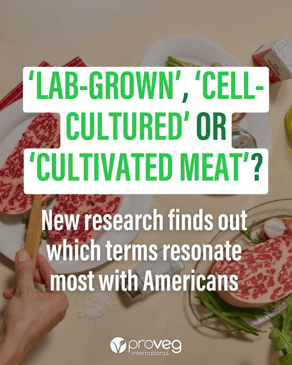 ProVeg International tweet media