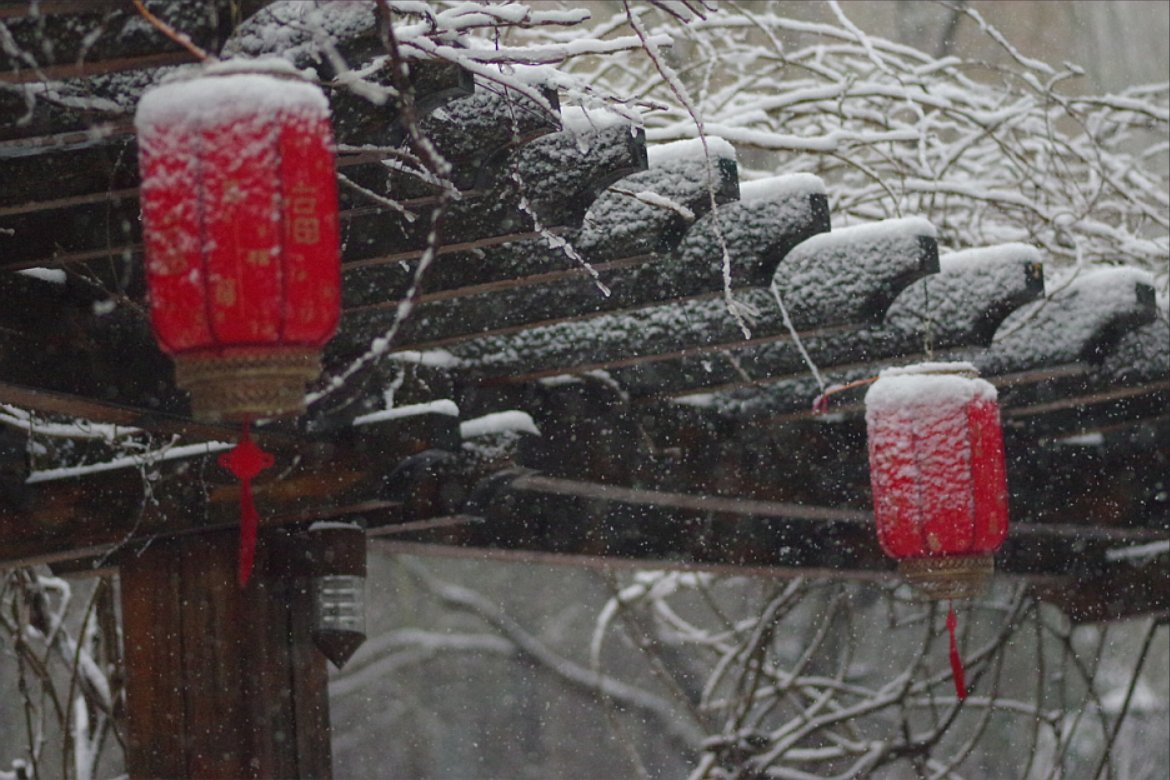 teagueli's tweet photo. 今外で大雪が降っている https://t.co/cZPMXGGlE8