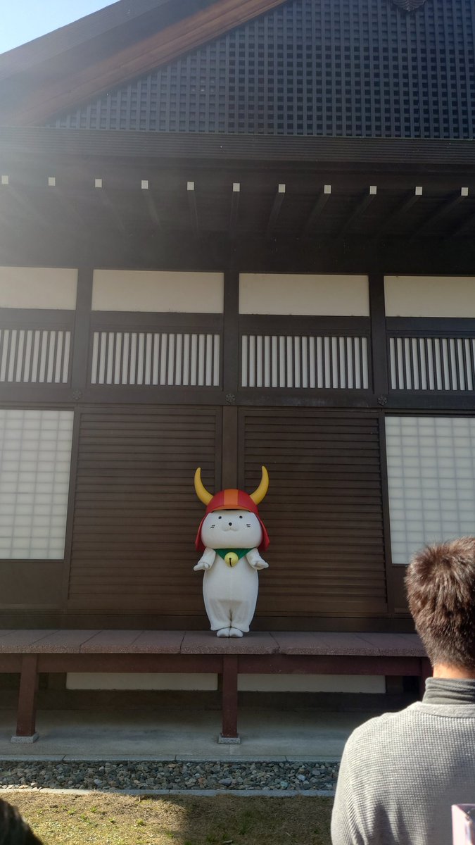 y_uckey's tweet photo. はじめて訪れた彦根ではじめて実物と会ったひこにゃん、予想の100倍可愛くてビックリした。
可愛い。
ひこにゃん可愛い。

#ひこにゃん
#平和なポスト https://t.co/ND39RGpWa2