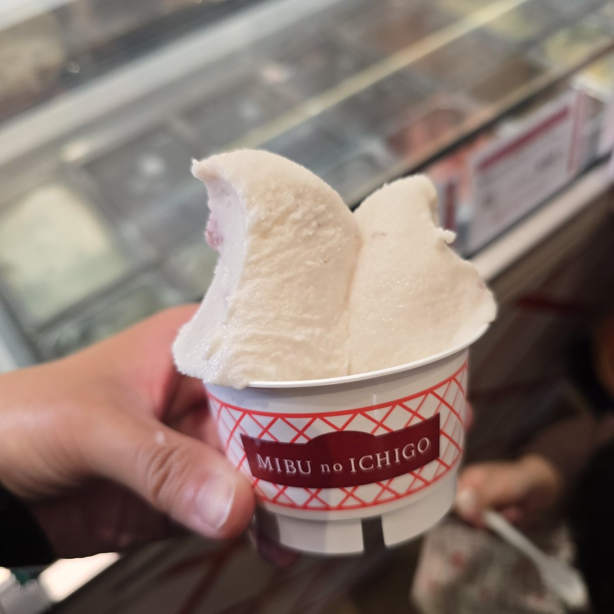 壬生の日フェアから帰宅

エグ筋肉痛🫠