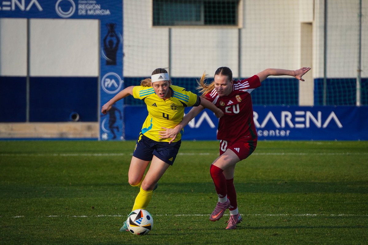 Pinatar Arena tweet media