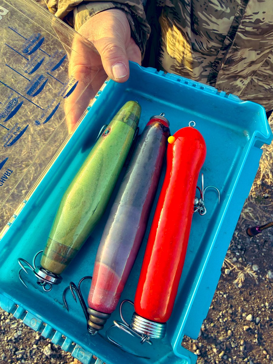 kokori45ko's tweet photo. 人生初のブラックバスの管理釣り場🎣
3人で参戦✌️✨
水温低いけど巻物中心にスタート‼️
TEX クーバイジュニア
カラーはブラックバックチャートのただ巻きとシェイキーで✌️
カラーローテしながら良い感じ✨
地蔵さんのボックスにはビッグなトップゲームのルアーが🦄💭‼️
#BRGD
#後半へー続く https://t.co/RfGM9OaXQ9