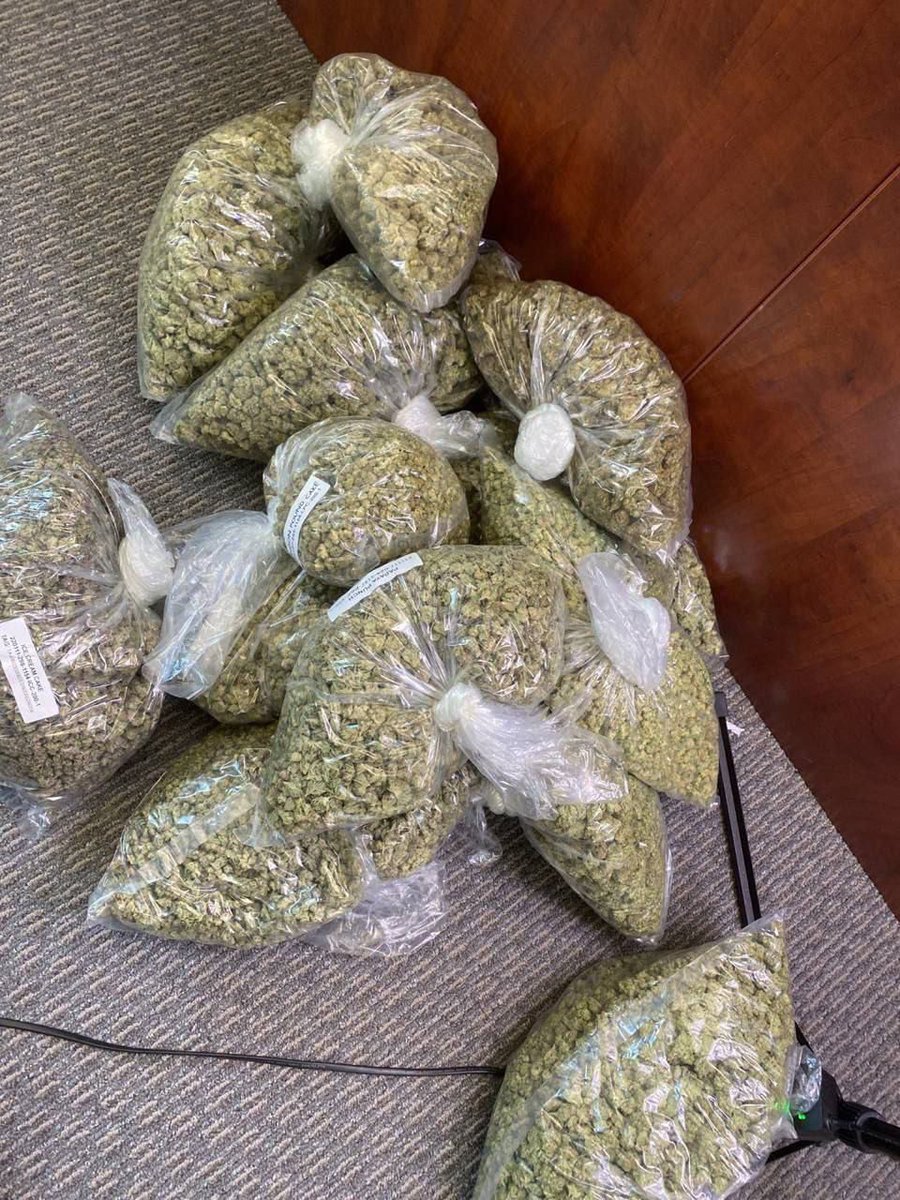 Sincty Seeds tweet media