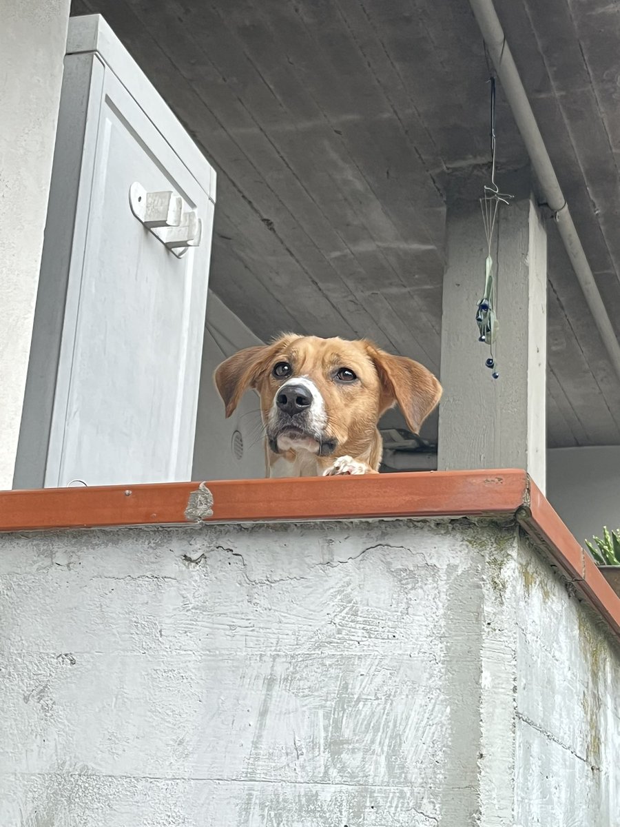 cristianaprato's tweet image. Buongiorno anche a te amore 🥰 #domenica #oss #domiciliari