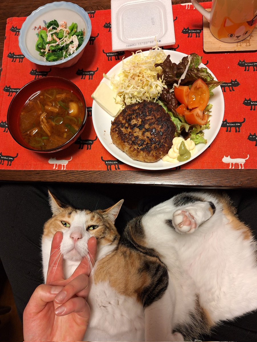 ハンバーグたべました