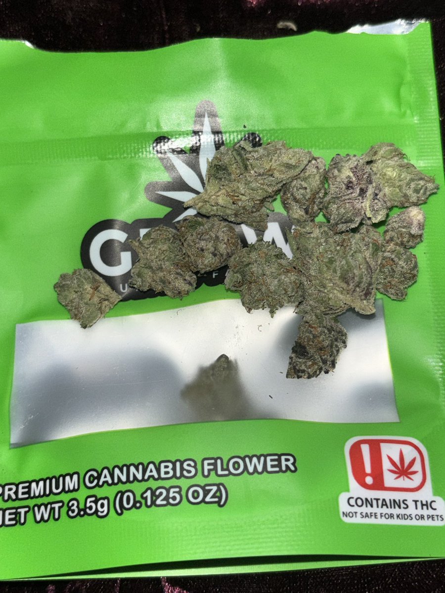 Sincty Seeds tweet media