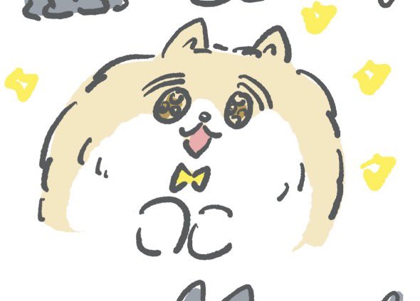 散歩してたポメちゃんが私の横にぴったりついてきて「きーーー！！きゃ