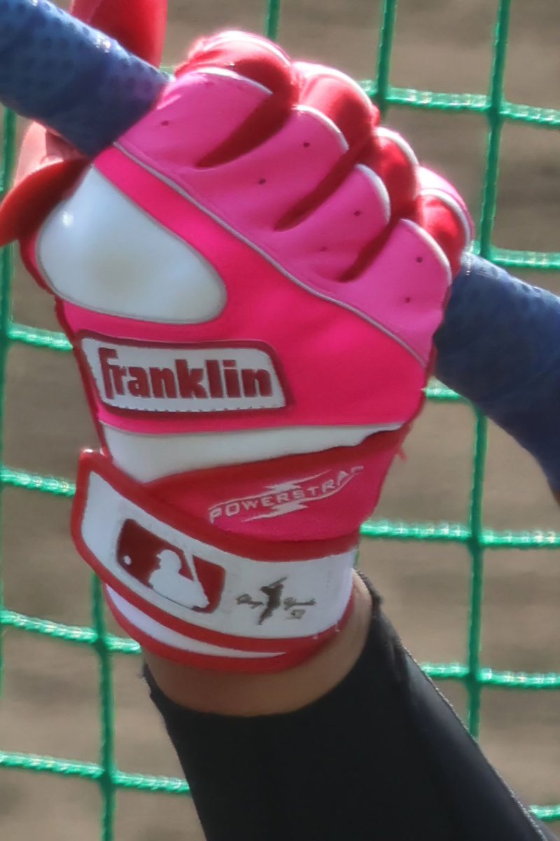 260301SGL🍃💕 ✨🌟ℕ𝔼𝕎🌟✨ 💗🌸𝑷𝑰𝑵𝑲🎀💗 そして𝐦𝐢𝐧𝐢