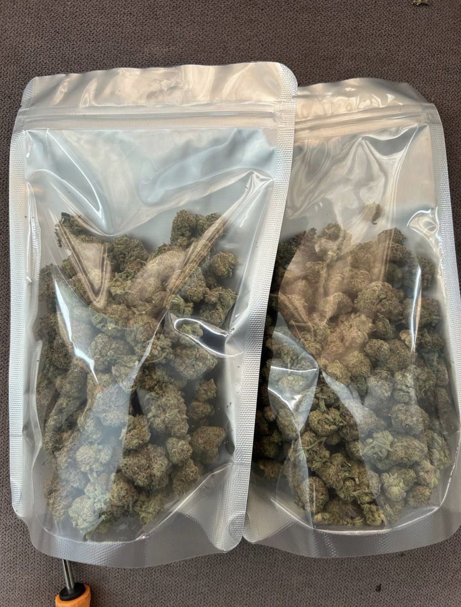 Sincty Seeds tweet media