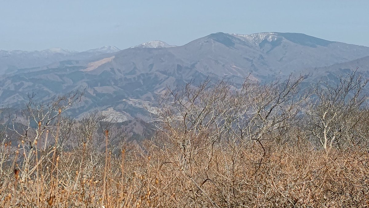 XBX/AVM/よこはまAV73 イーハトーブの麓から🏕️ tweet media