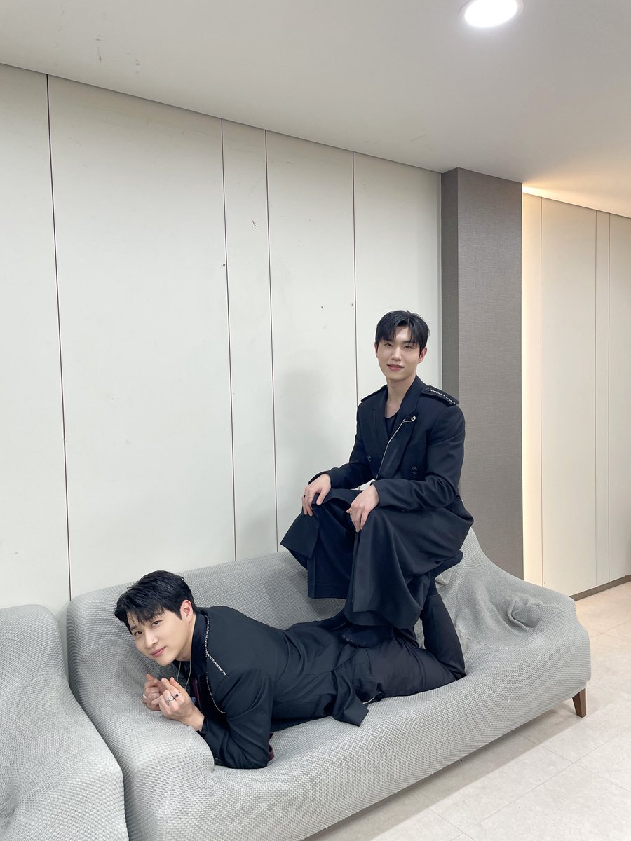 리베란테 Libelante tweet media