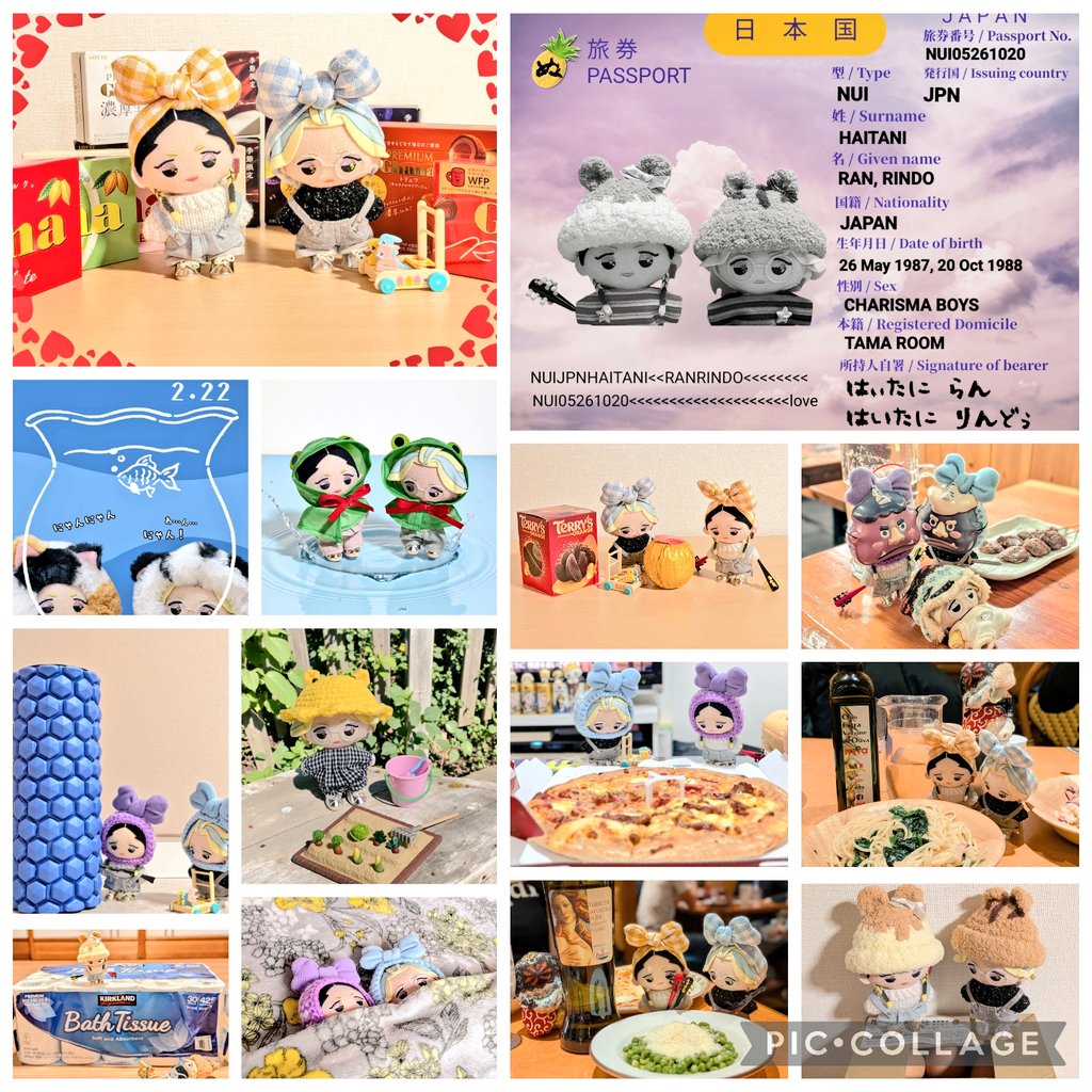 2月 の ぼくたち📸

#tkrvぬい #ぬい撮り