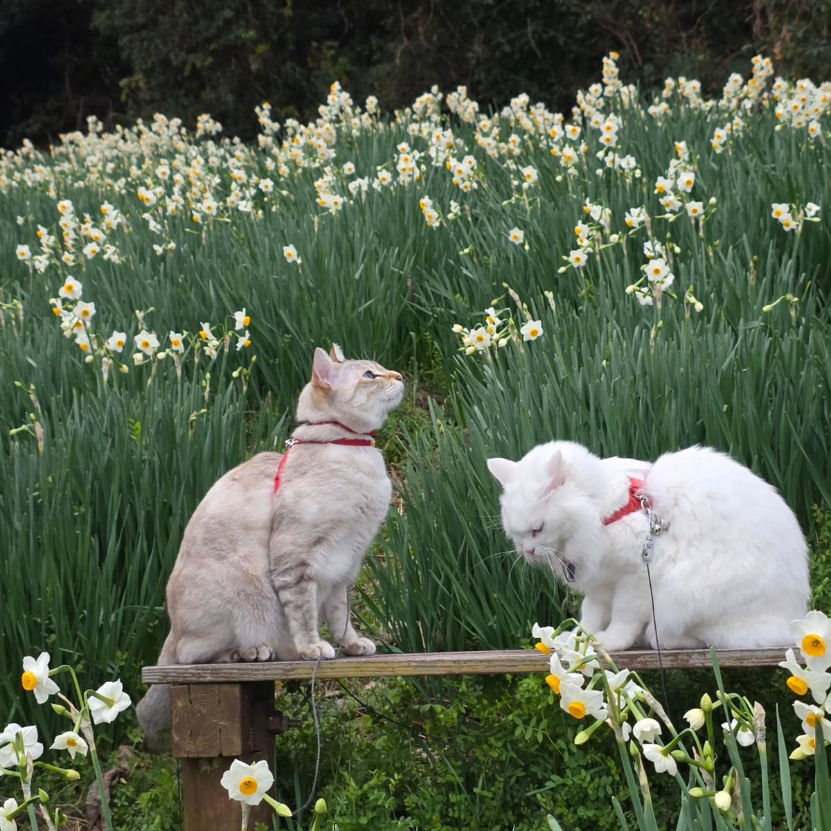 World Click (@worldclick56) on Twitter photo 