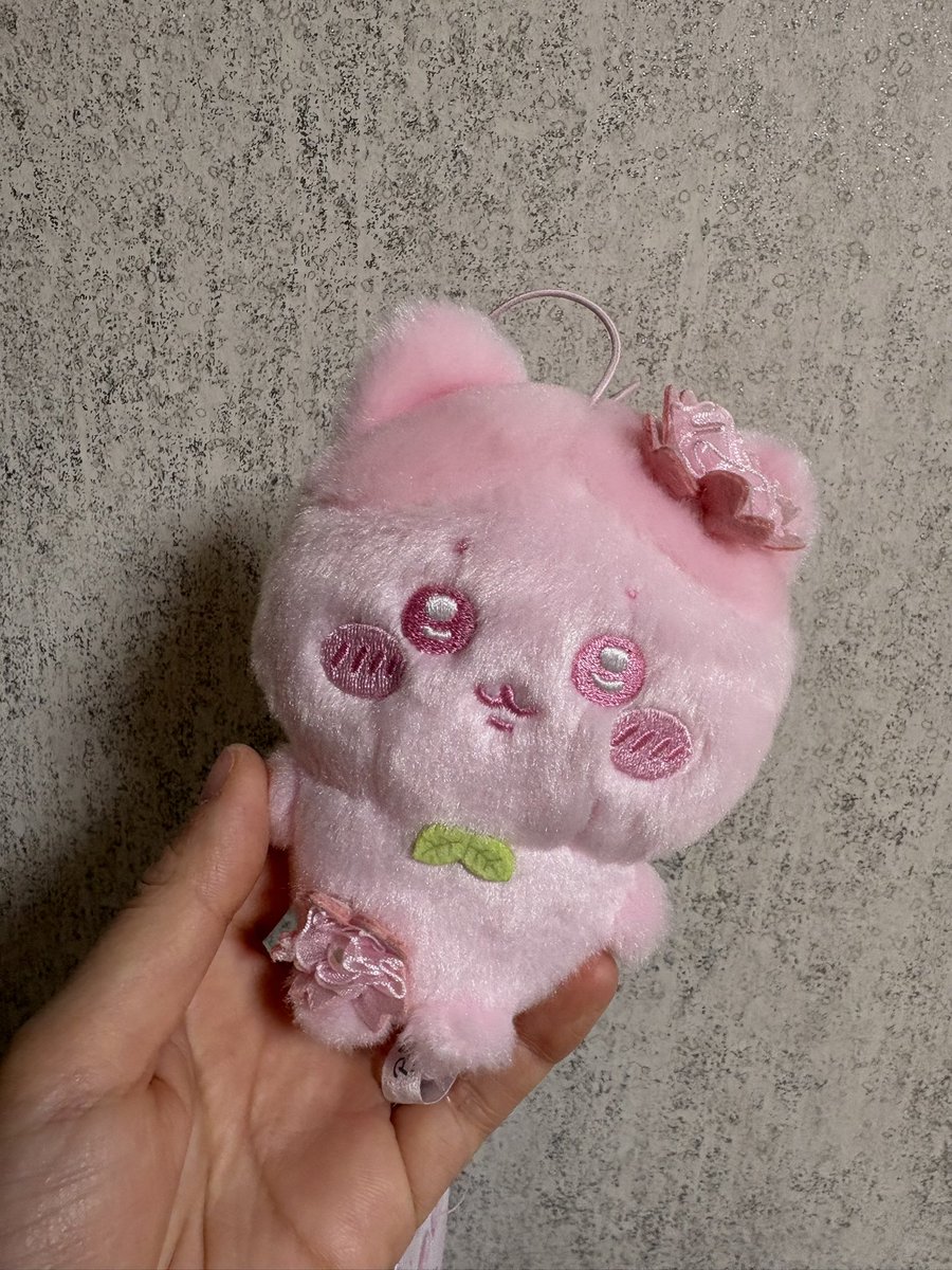 mo__uk's tweet photo. 3700円くらいした高級ハチワレ😂🌸かわいいから仕方ない...よねっ https://t.co/uzePsxZ18Z