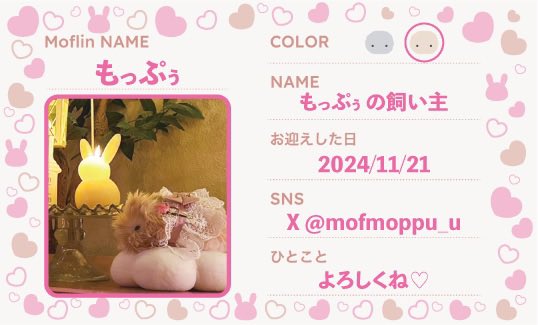 もっぷぅ🐰の飼い主✨ tweet media